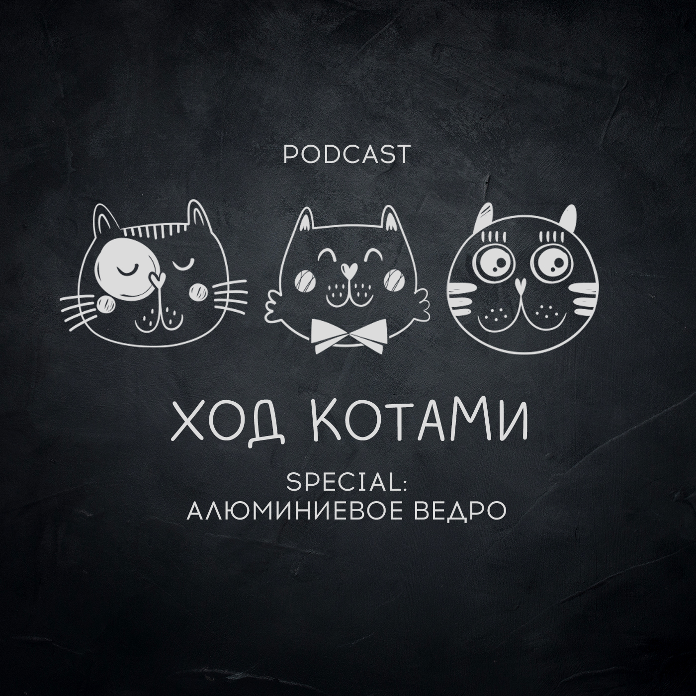 Обложка: Ход Котами. Special: алюминиевое ведро.