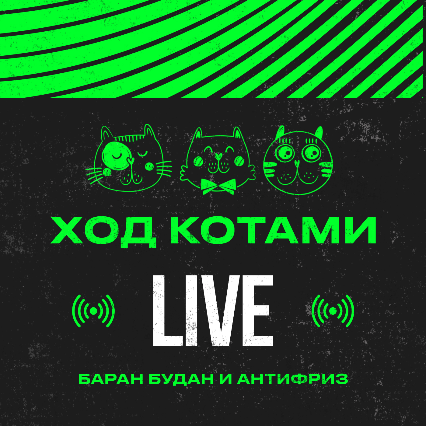 Обложка: Live. Баран Будан и Антифриз.