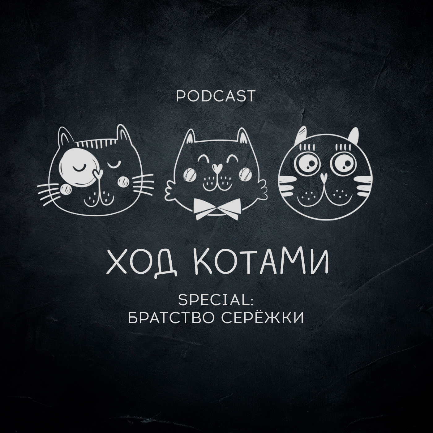 Обложка: Ход Котами. Special: братство Серёжки.