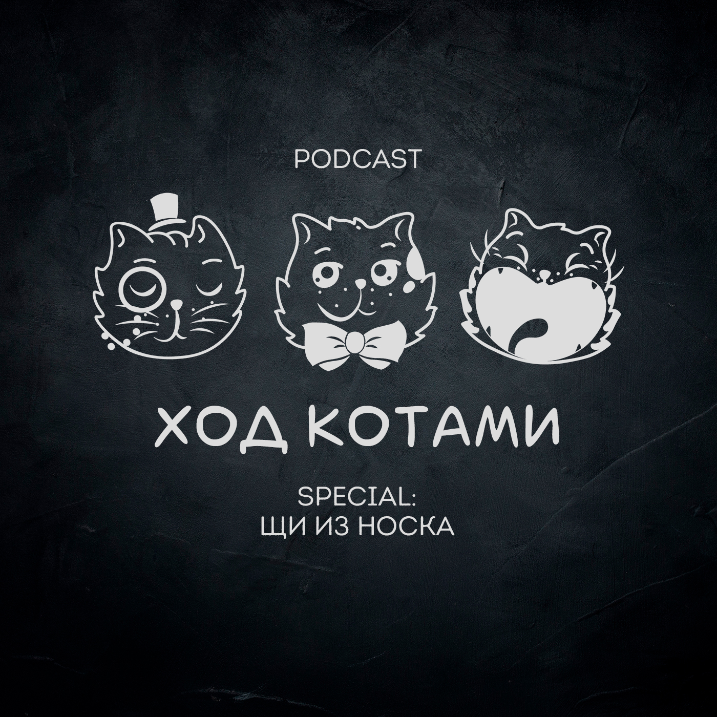 Обложка: Ход Котами. Special: Щи из носка.